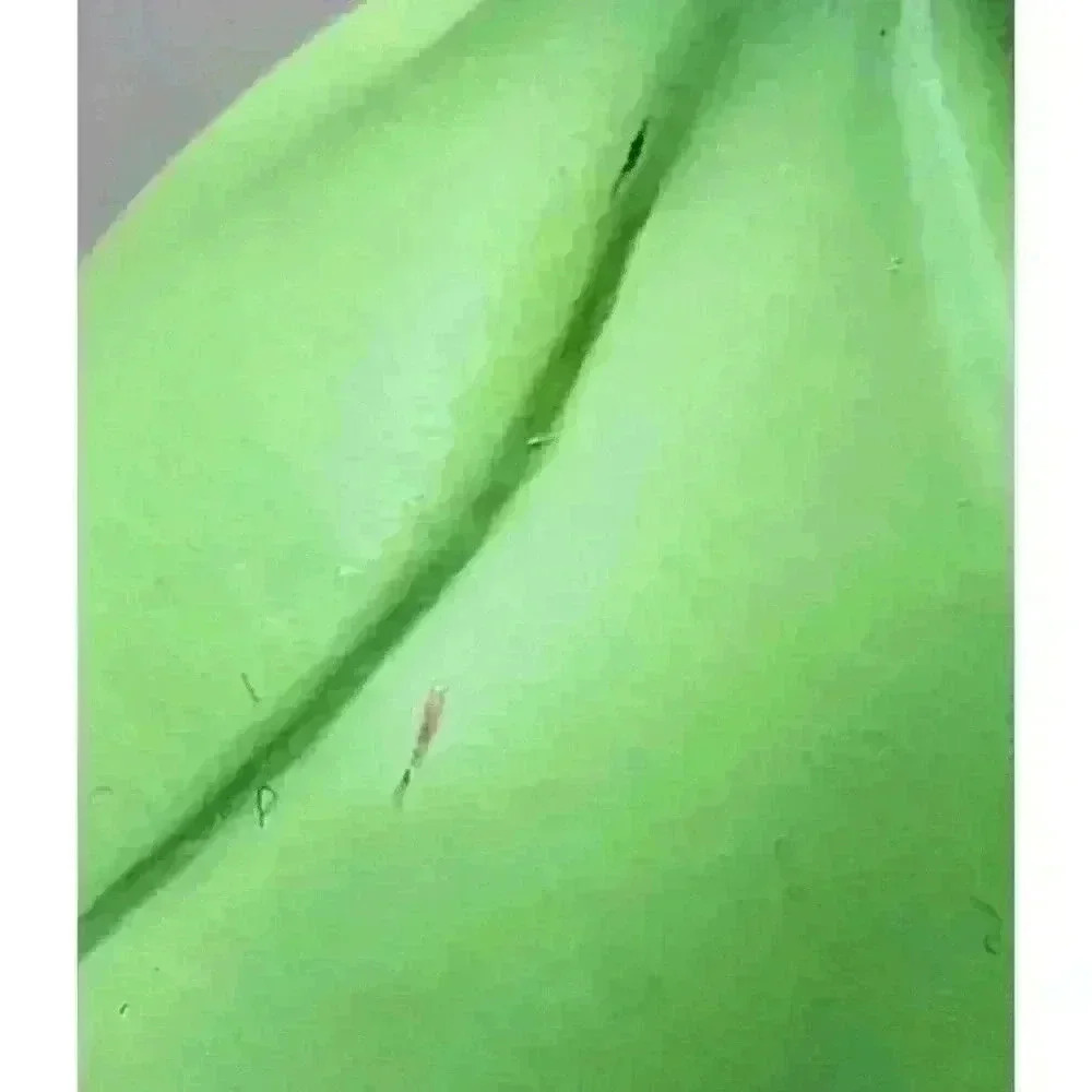 Disney Princess Figurines Belle, Cinderella & Tiana Toys (3) Dolls Cake Toppers - Picture 6 of 12